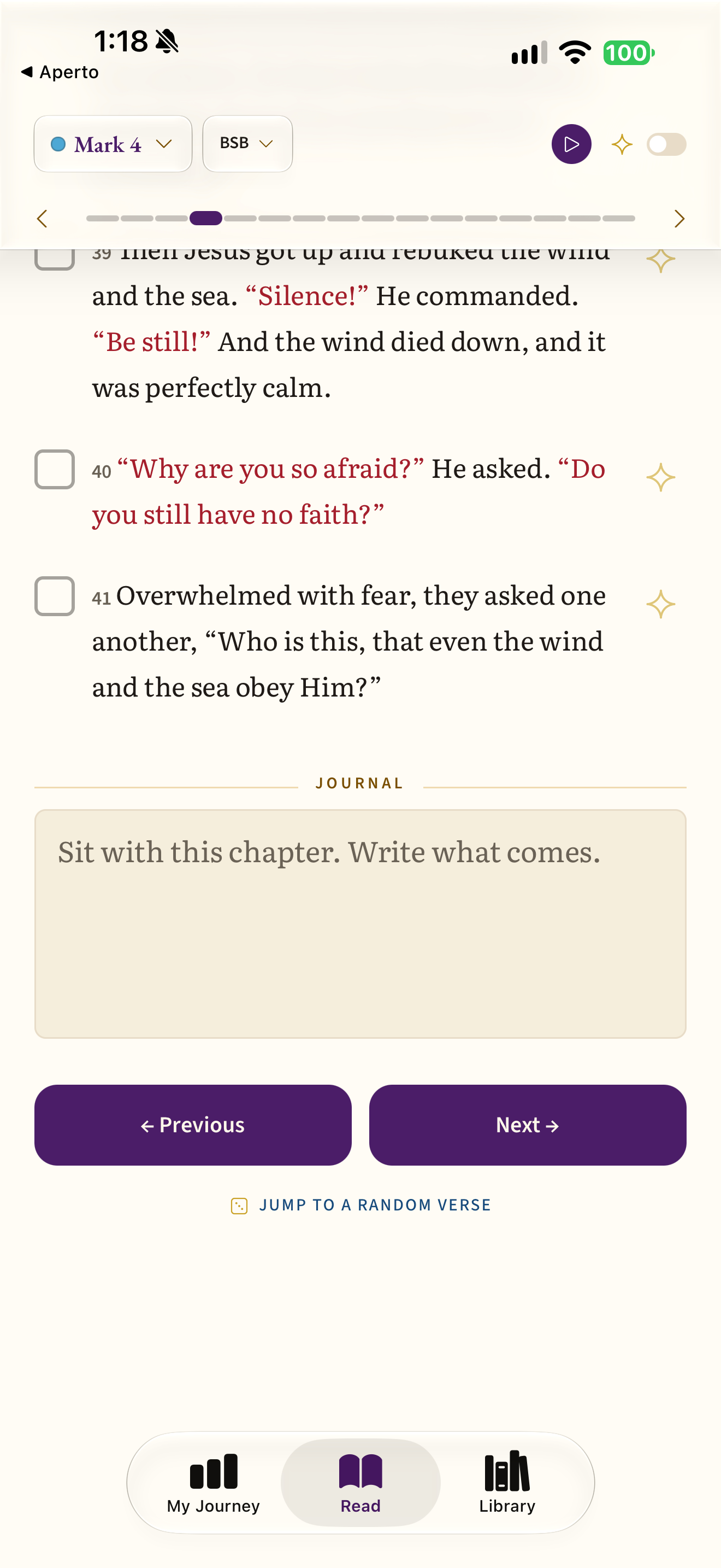 Chapter-end journal prompt