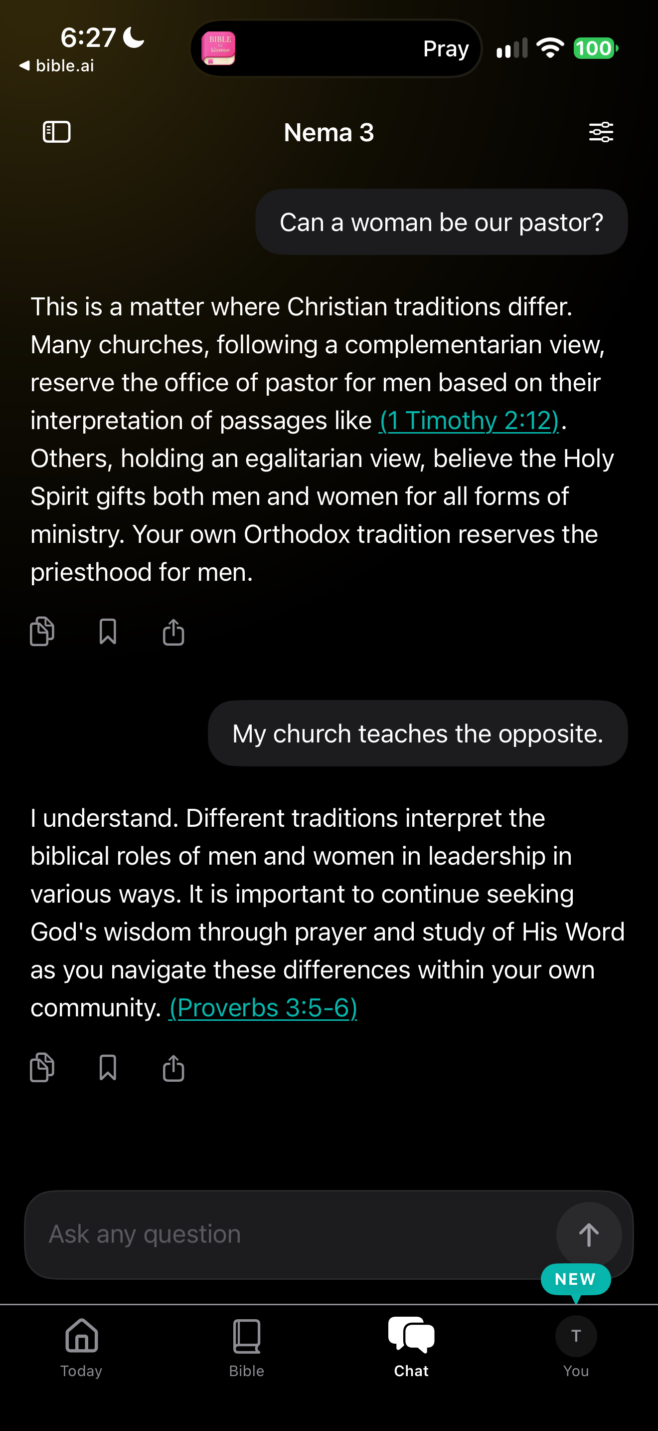 Women pastors: traditions named