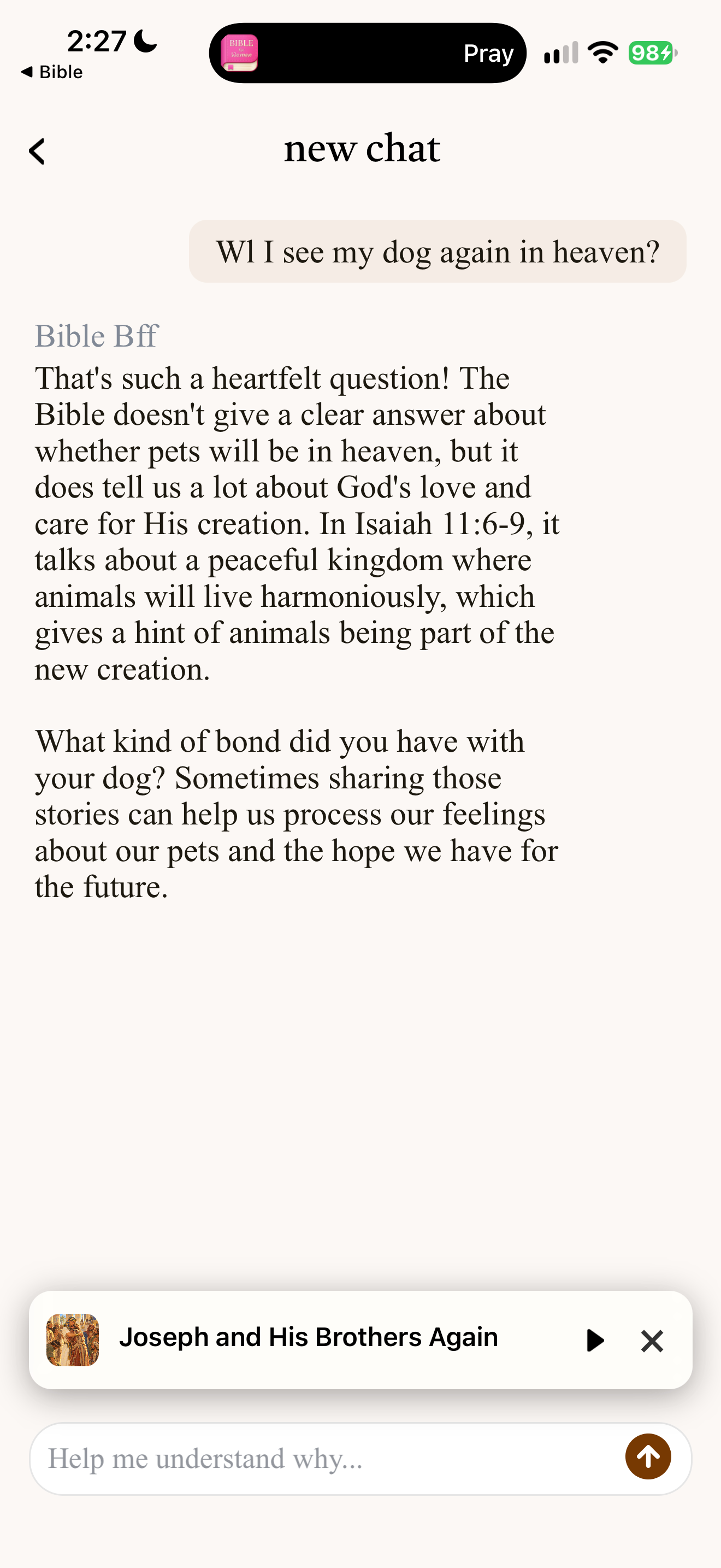 Pets in heaven answer