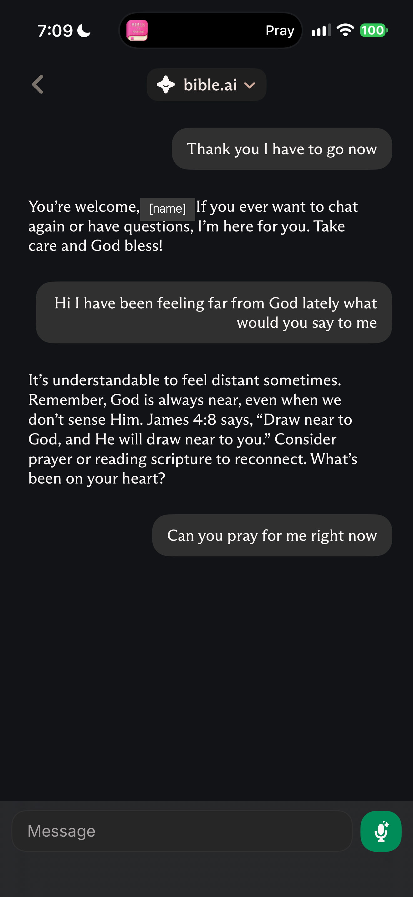 Voice turns shown in the chat