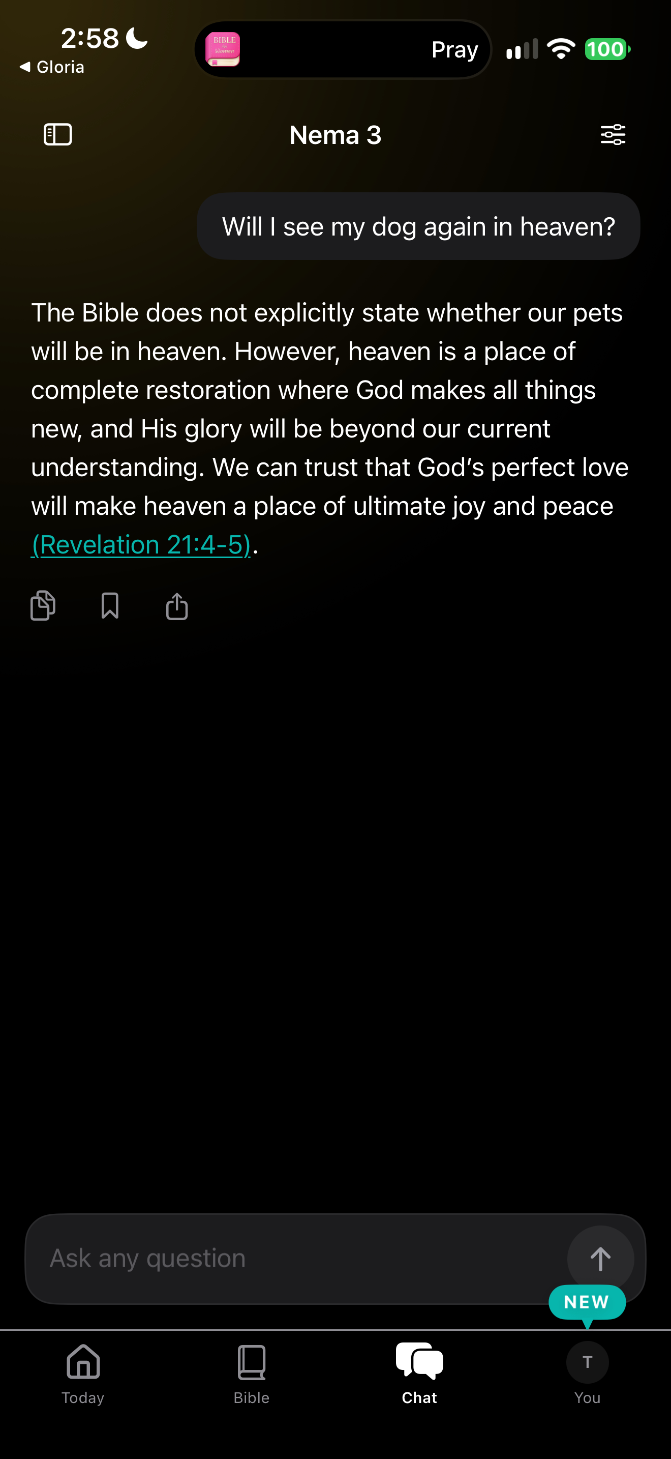 Pets in heaven answer