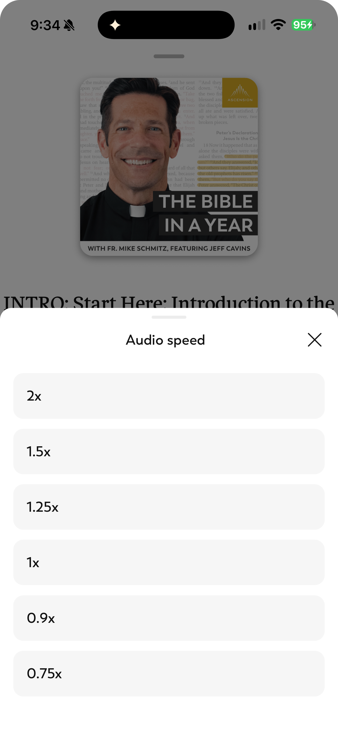 Podcast speed options