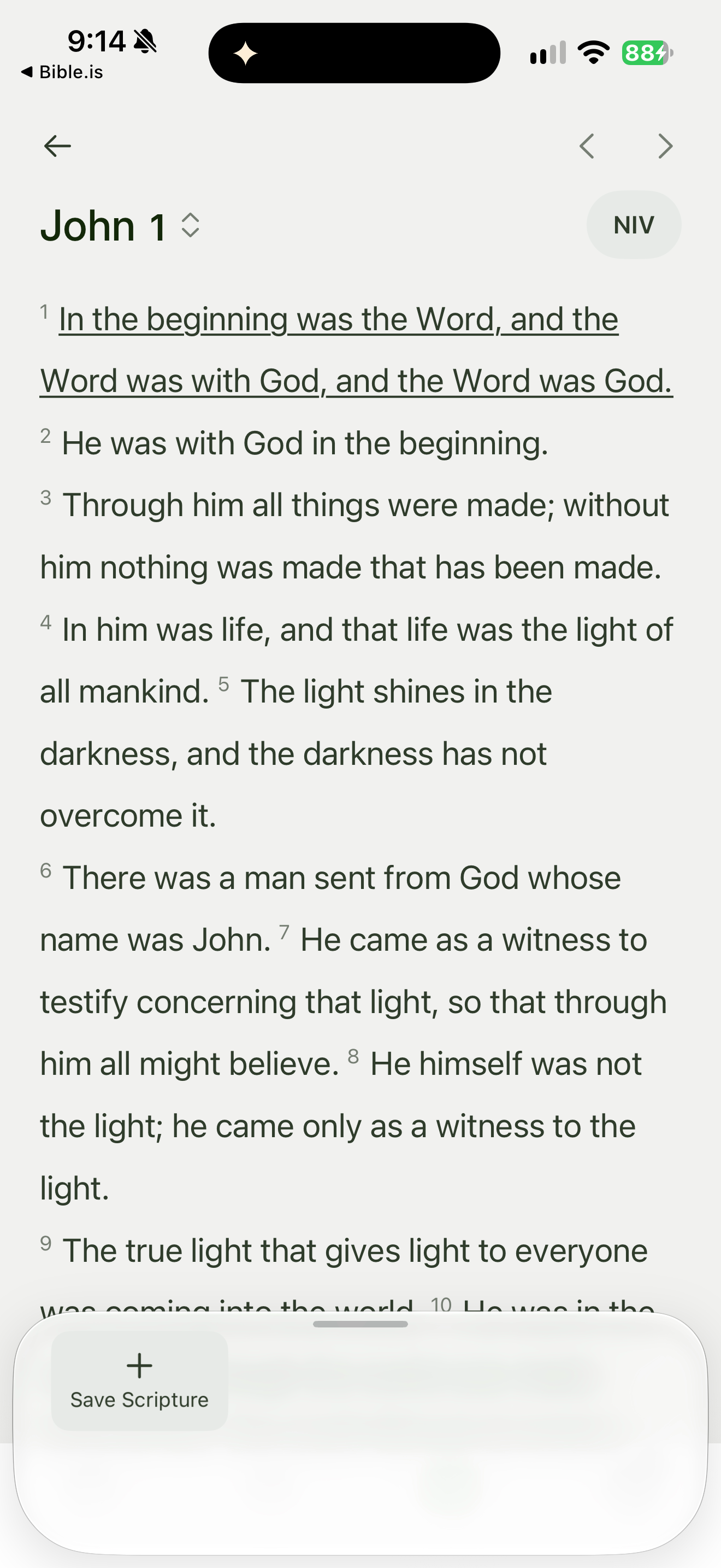 Saving Scripture from a verse selection