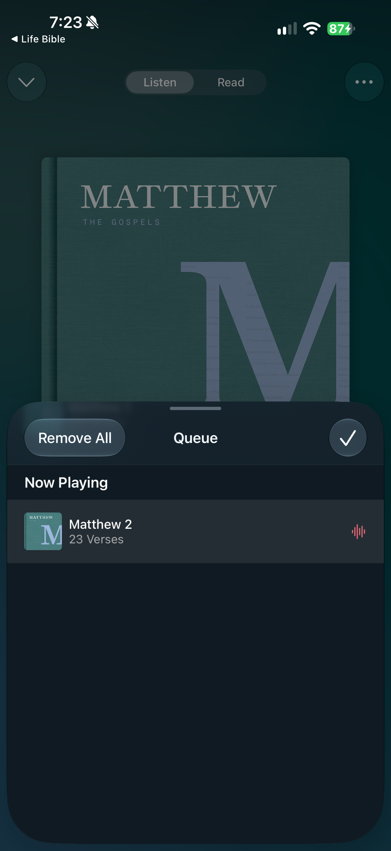 Single chapter queue