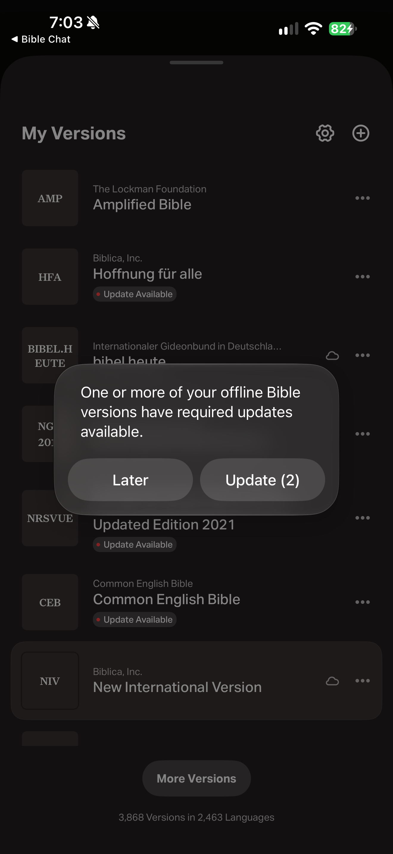 Offline Bible update prompt
