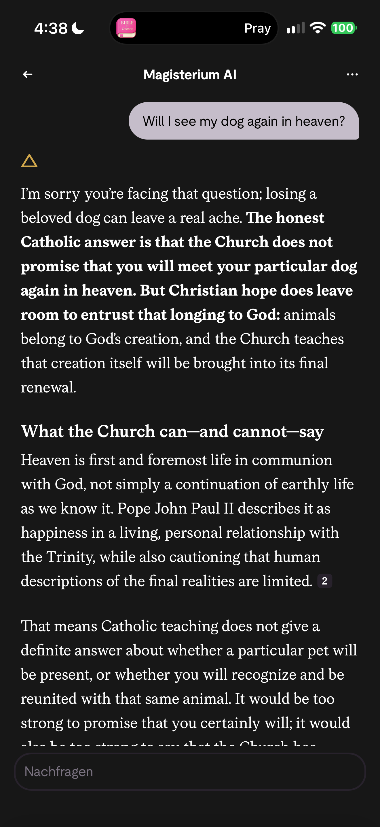 Pet in heaven answer