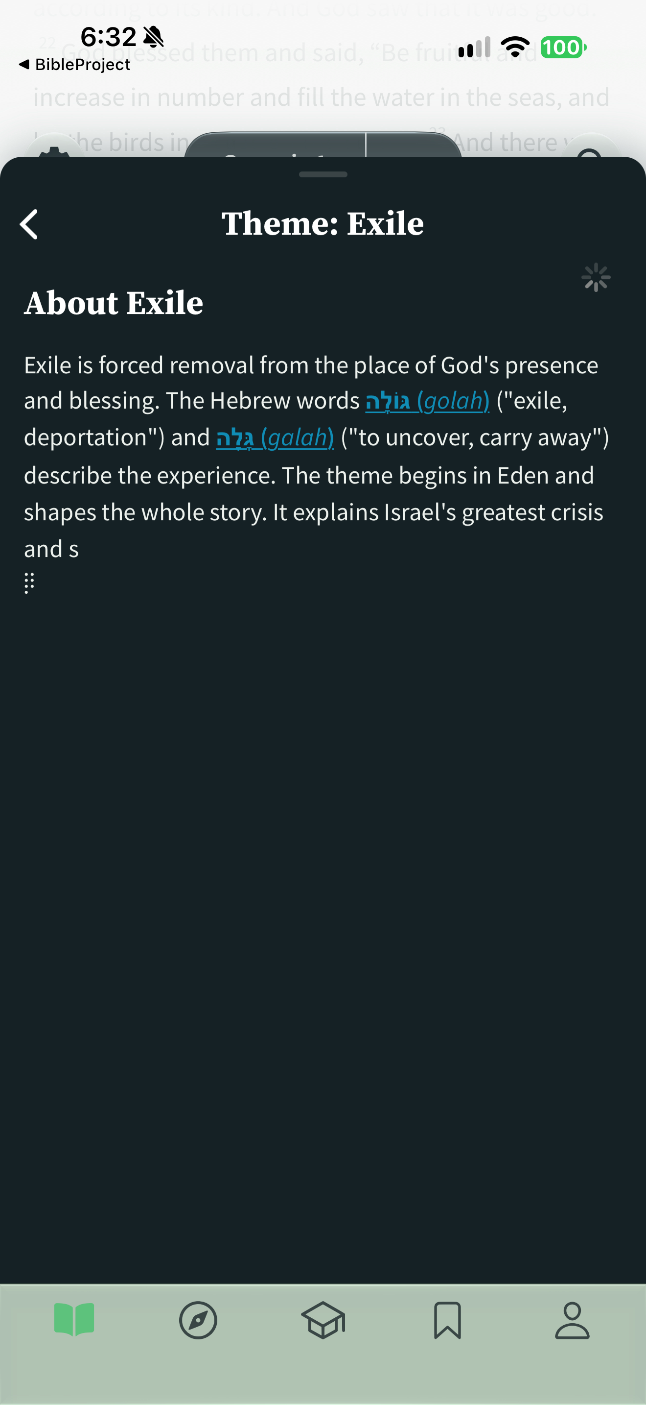 Linked Exile theme loading