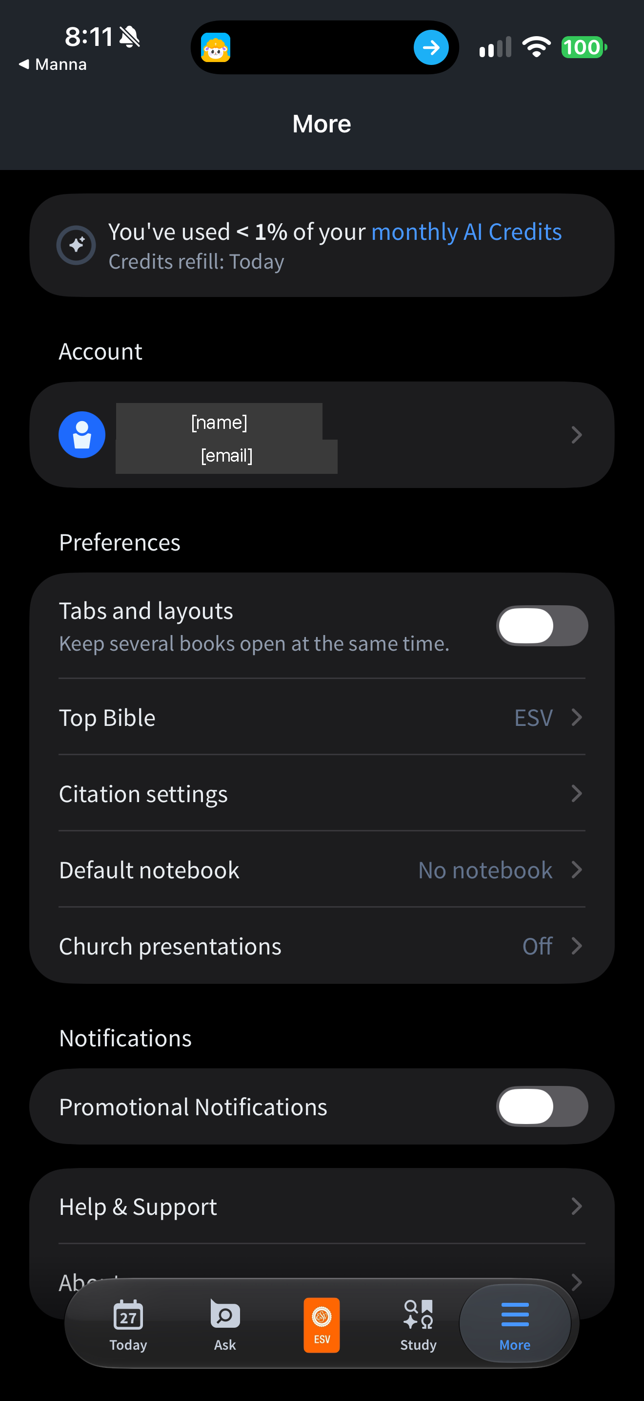 More tab with AI credits