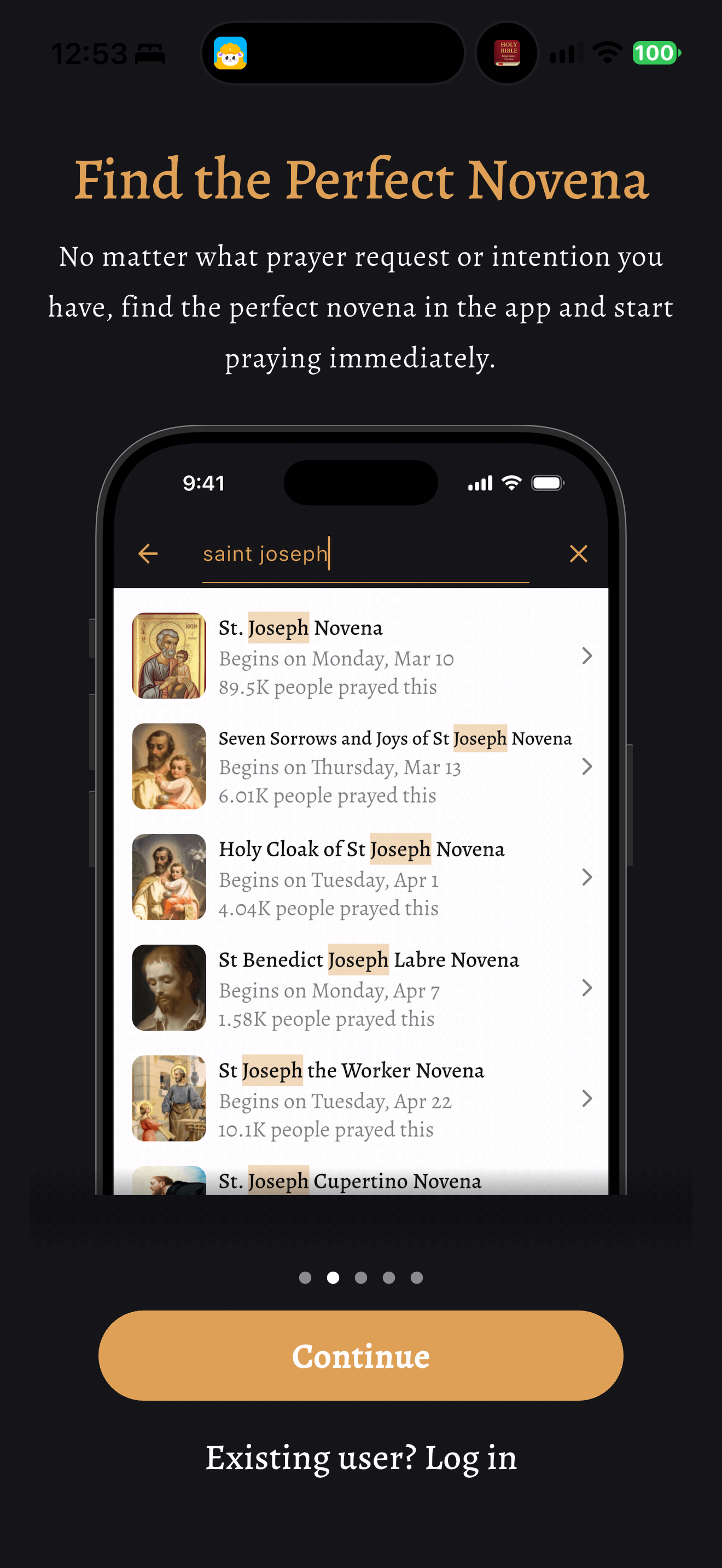 Intercede novena search preview