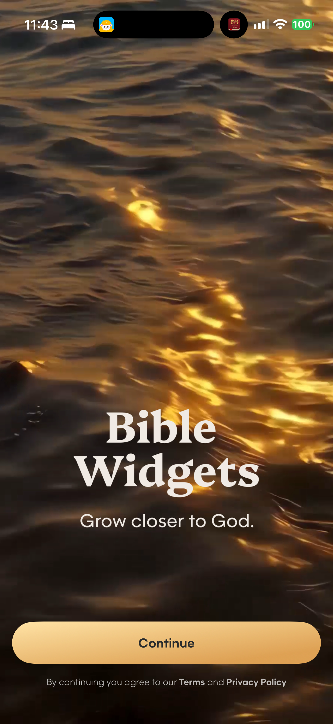 Bible Widgets entry