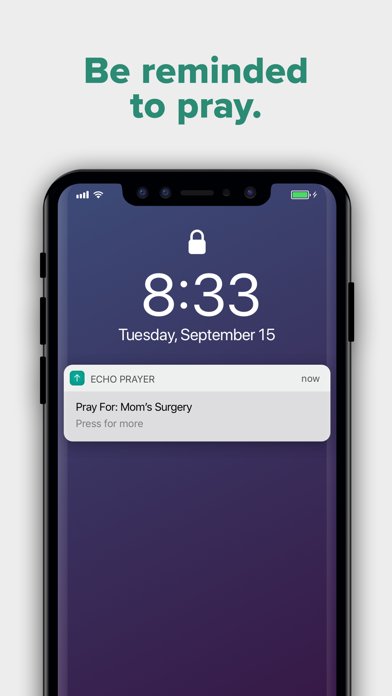 Echo — publisher App Store screenshot 5